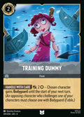Training Dummy